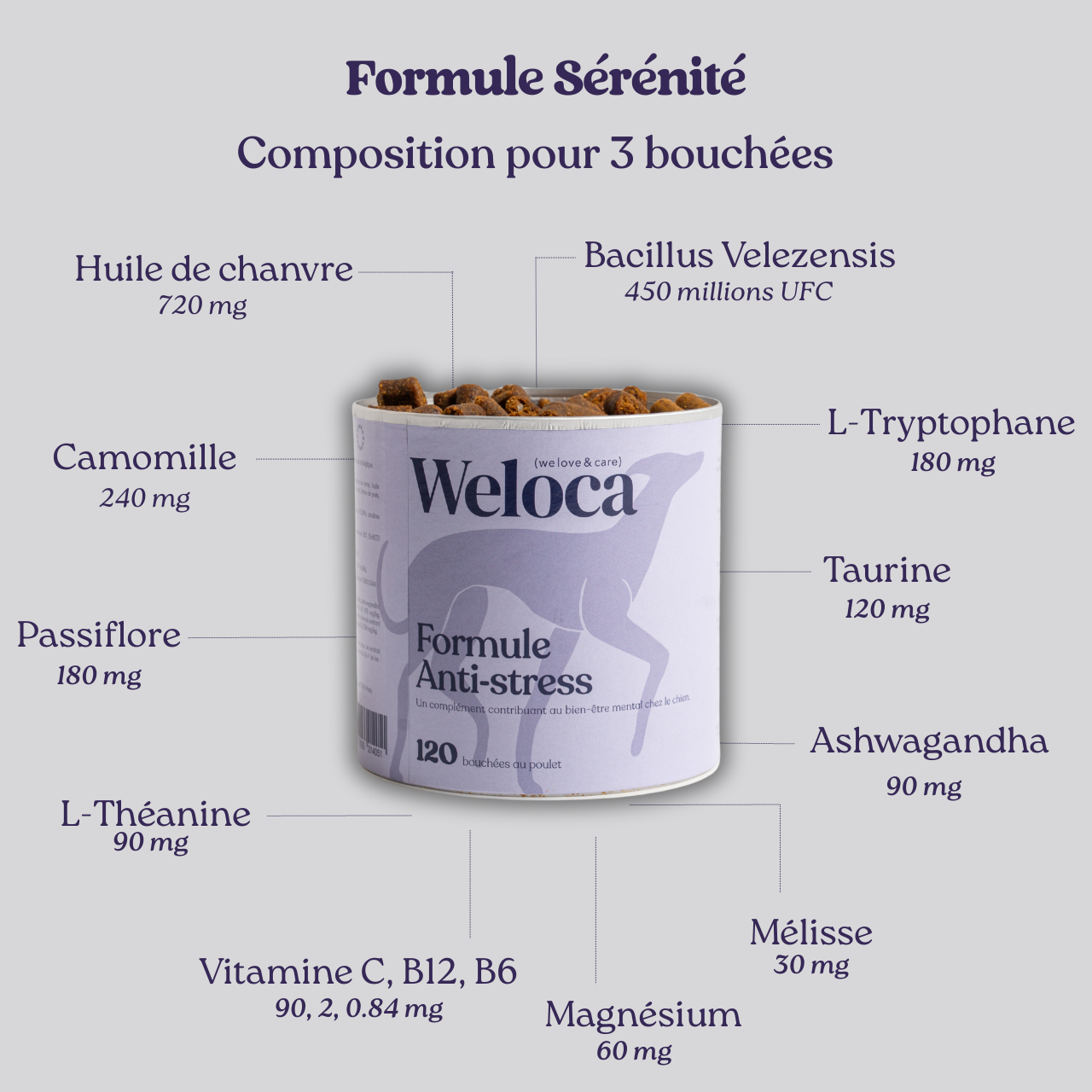 Complément alimentaires anti-stress