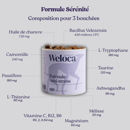 Complément alimentaires anti-stress
