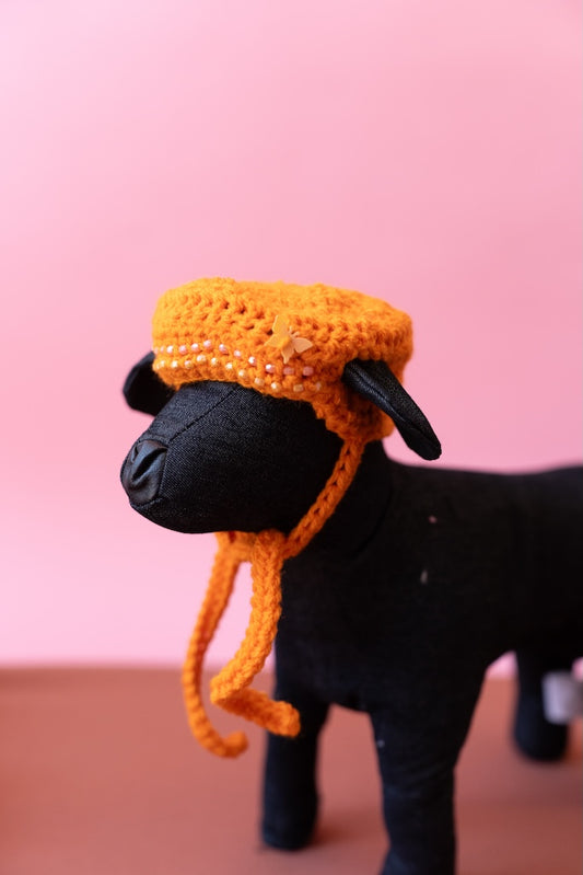 Bonnet en crochet - Cayu Canidés Club