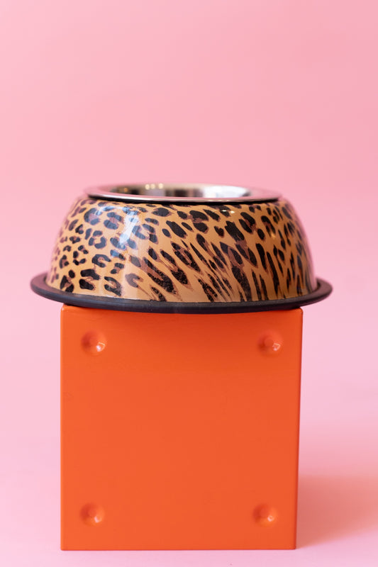Gamelle léopard avec assiette en inox