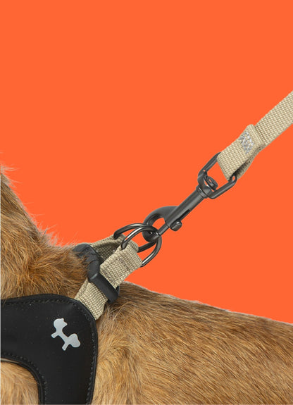 Laisse rembourrée en tissu