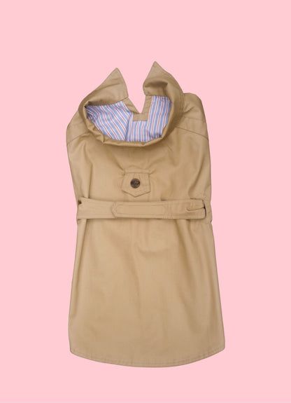 Trench imperméable pour chien