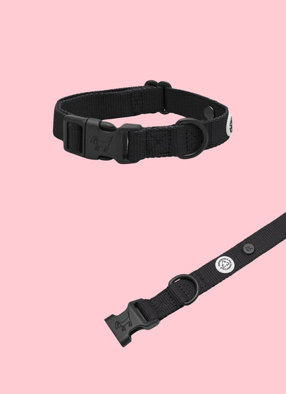 Collier pour chien en tissu