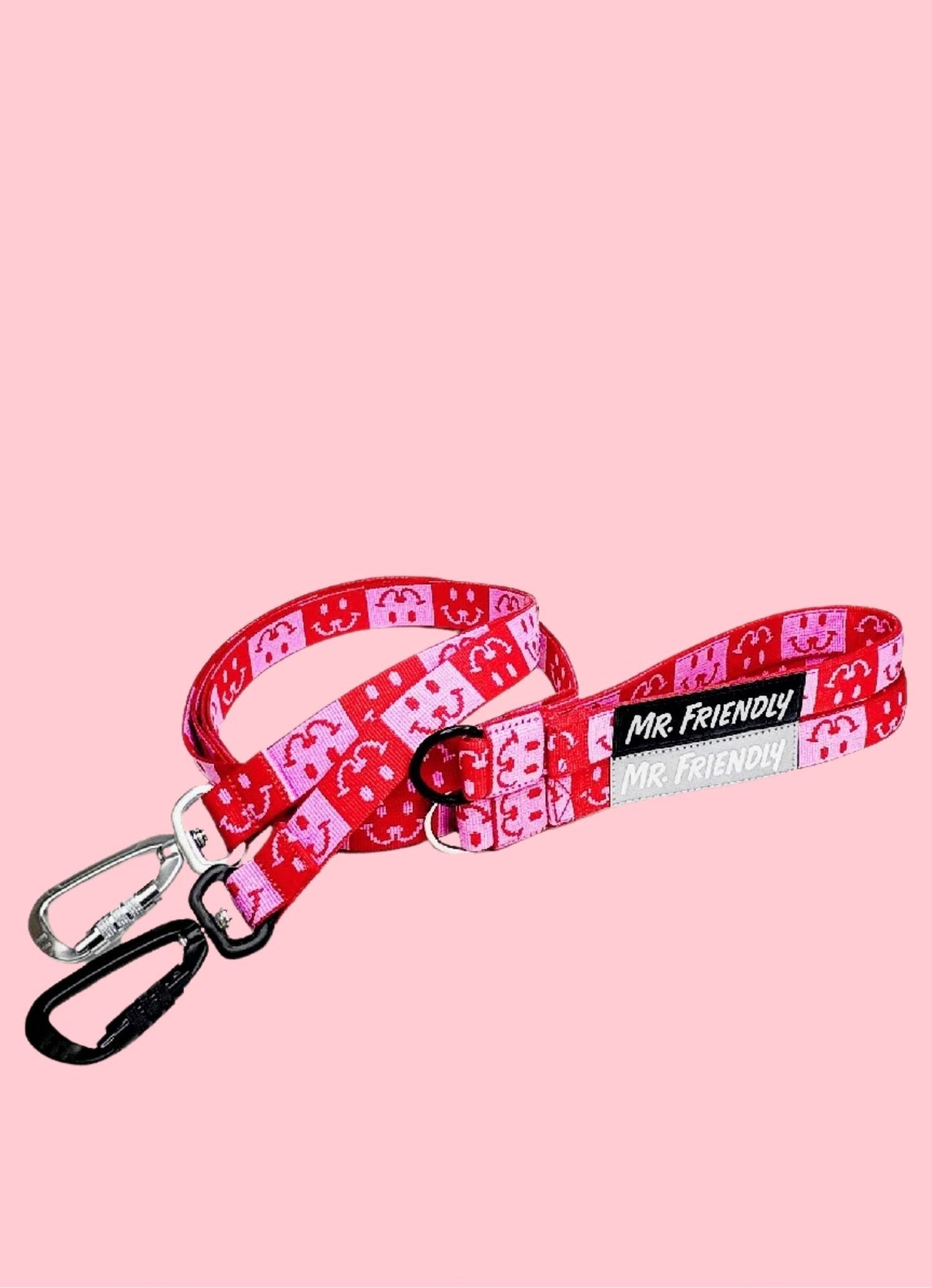 Laisse ajustable pour chien Cruciferous