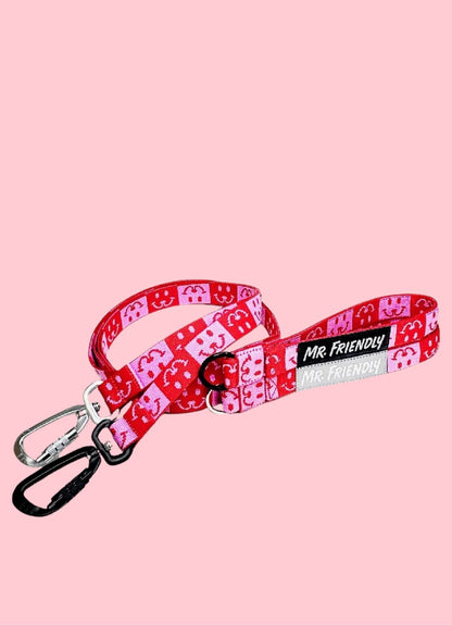 Laisse ajustable pour chien Cruciferous