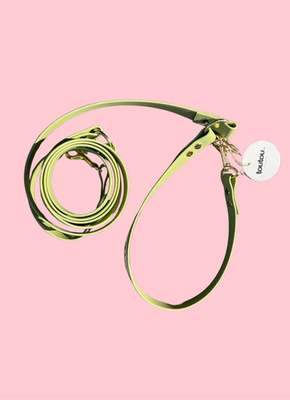 Laisse mains-libres en biothane