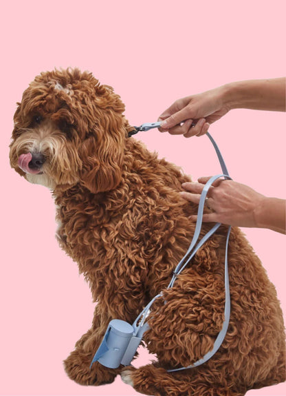 Laisse waterproof