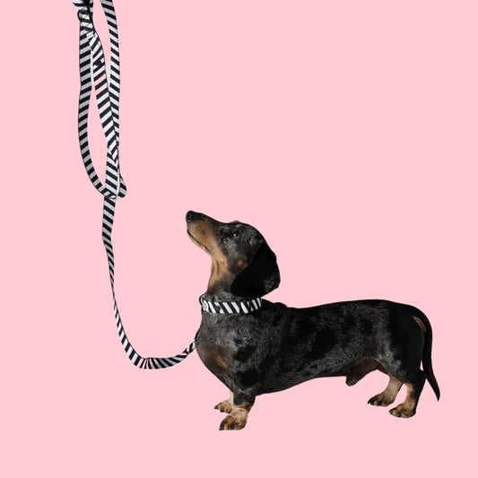 Laisse de marche en tissu