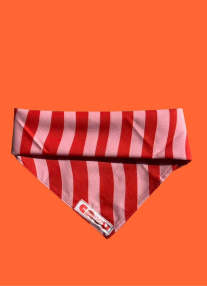 Bandana en coton / rayures - Cayu Canidés Club