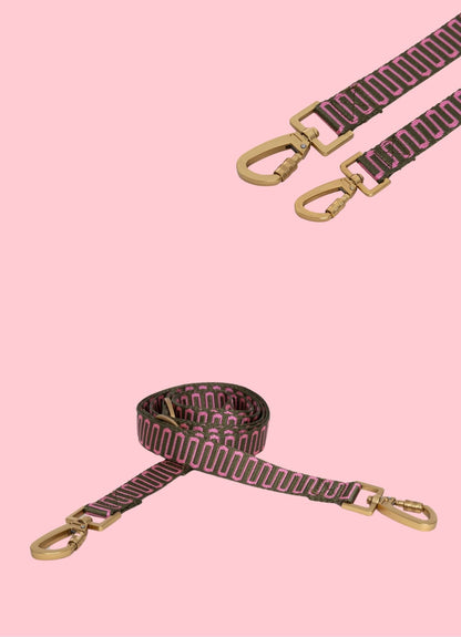 Laisse en nylon