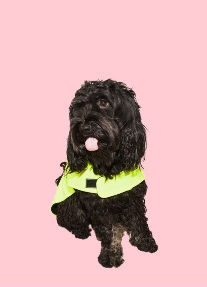 Imperméable pour chien