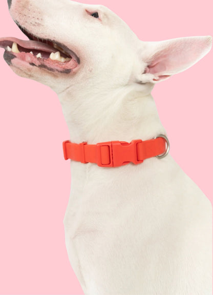 Collier waterproof