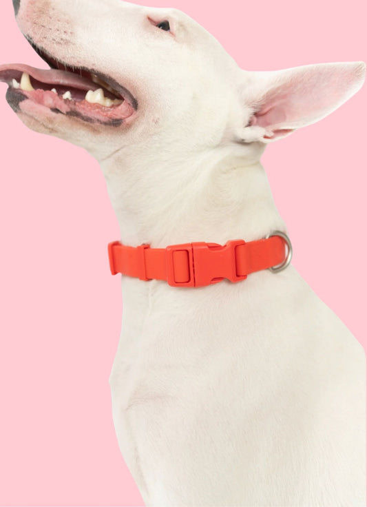 Collier waterproof
