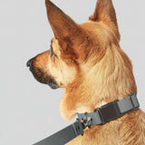 Collier waterproof