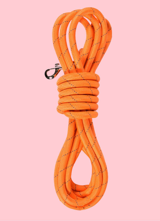 Longe ronde en nylon 10 mètres