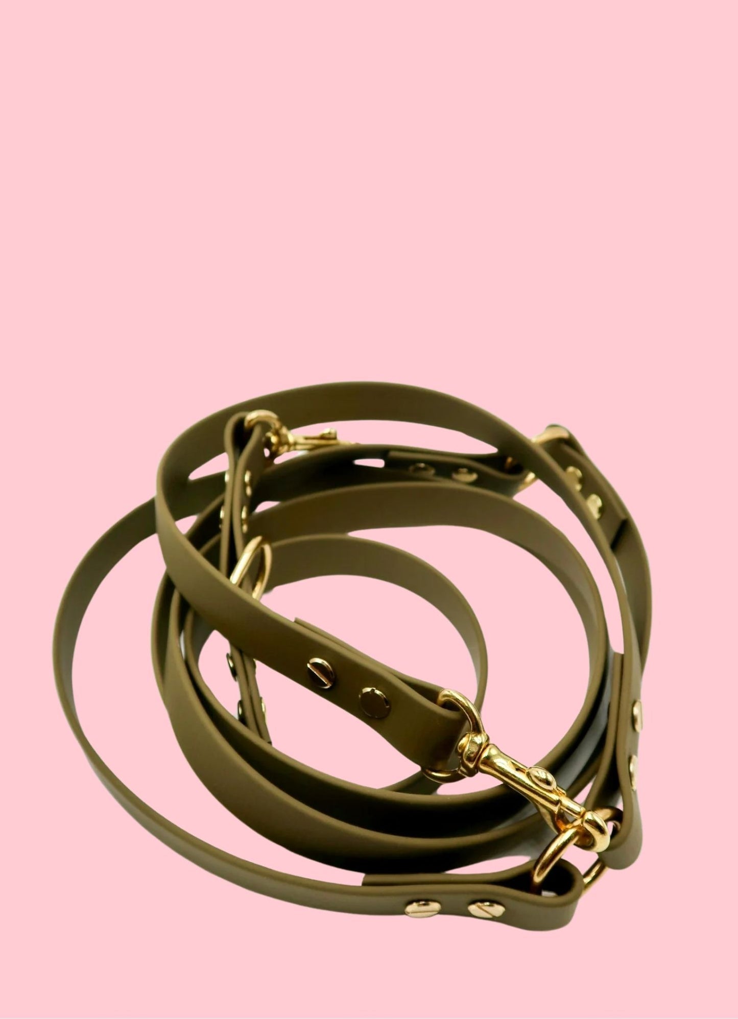 Laisse mains-libres en biothane
