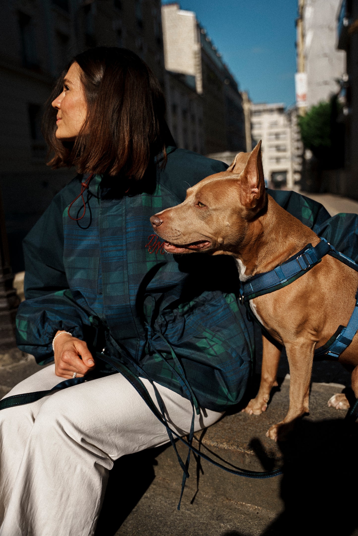 Harnais | TARTAN
