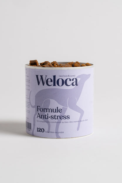 Complément alimentaires anti-stress