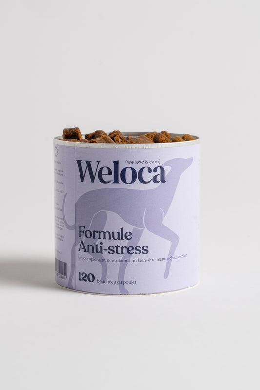 Complément alimentaires anti-stress