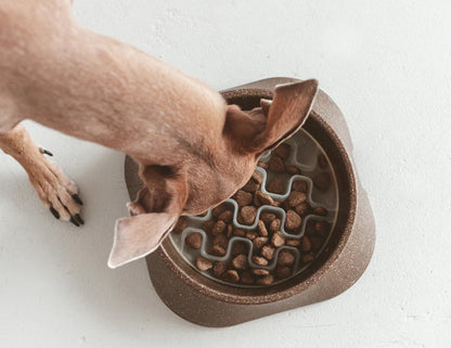 Insert anti-glouton pour chien