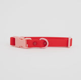 Collier waterproof