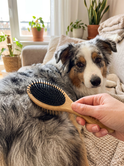 BROSSE DOUBLE FACE | POILS LONGS & MI-LONGS