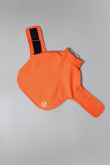 Manteau imperméable pour chien