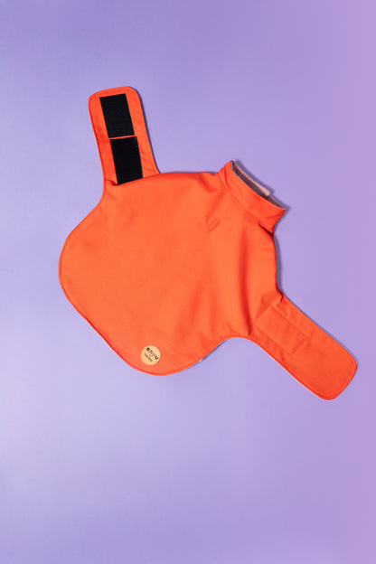 Manteau imperméable pour chien