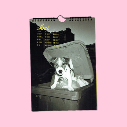 CALENDRIER PERPÉTUEL