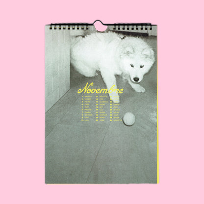 CALENDRIER PERPÉTUEL