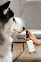 Eau micellaire nettoyante