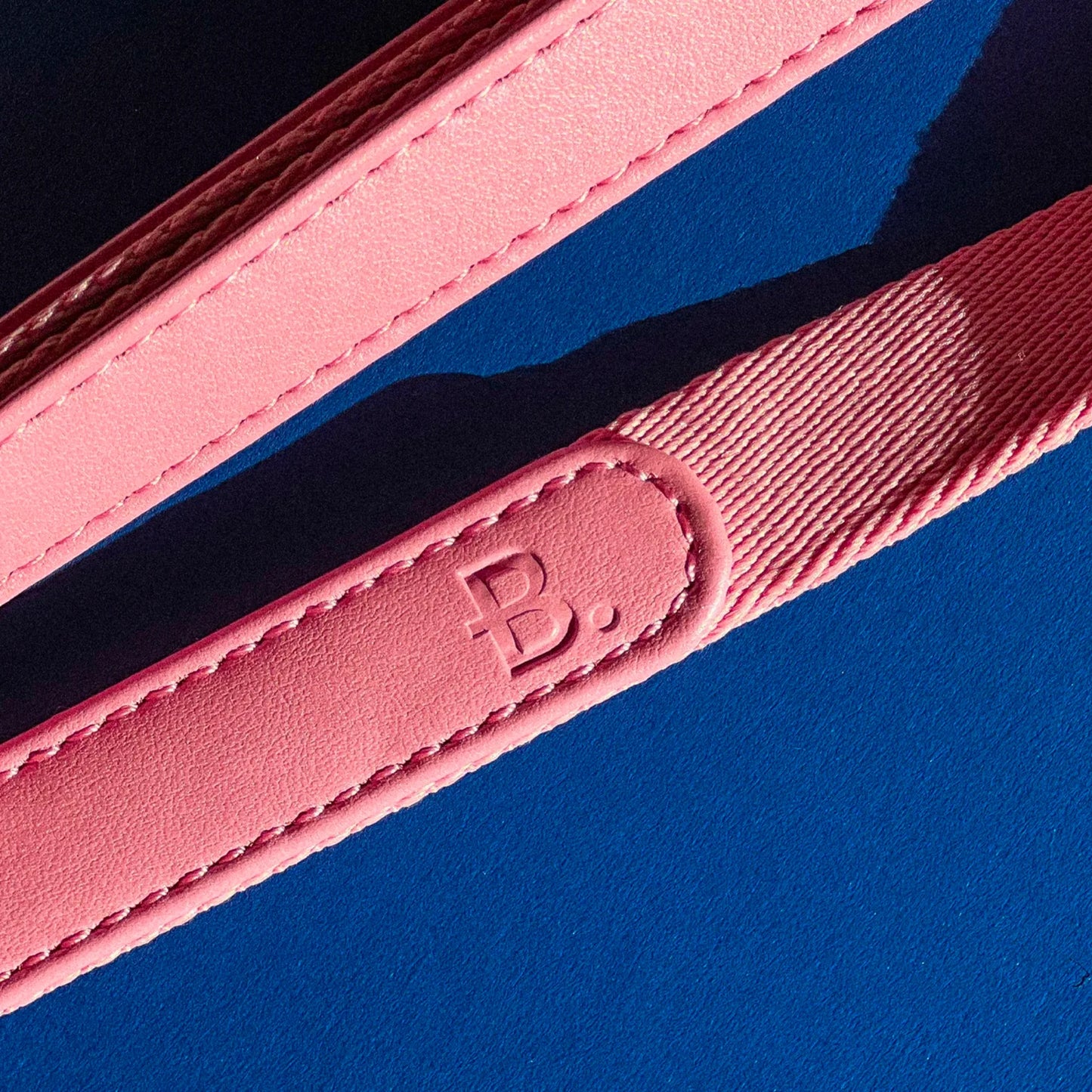 Laisse de marche en cuir et tissu