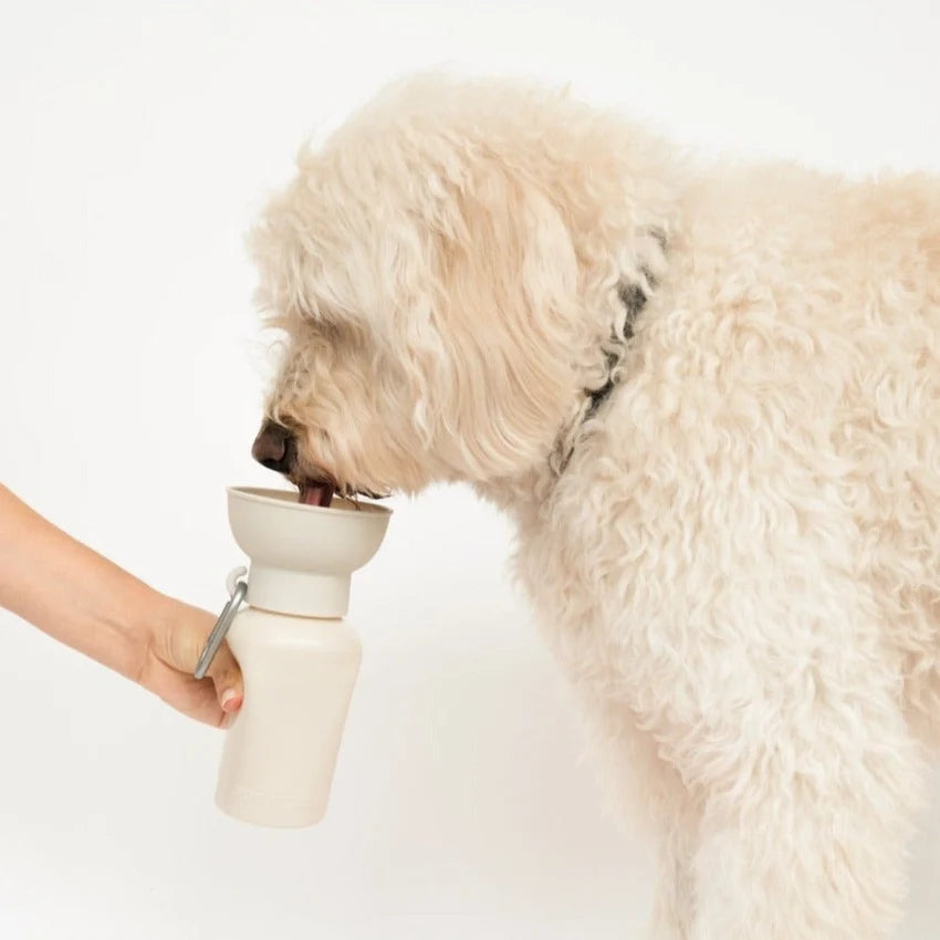 Gourde avec distributeur d’eau
