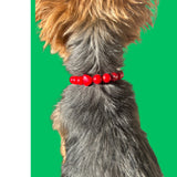 Collier de perles - Shaike & Co