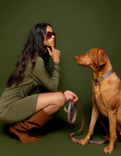 Laisse en nylon