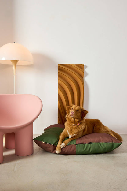 Lit pour chien