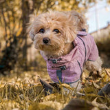 Imperméable pour chien Hiking City