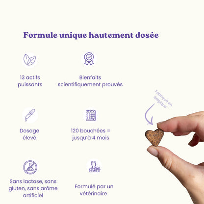 Complément alimentaires anti-stress
