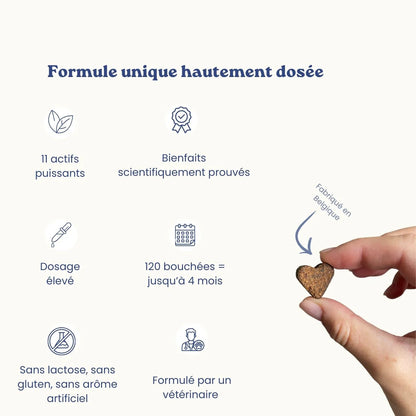 Complément alimentaires articulations