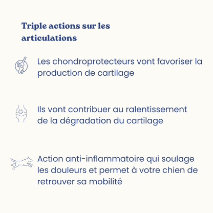 Complément alimentaires articulations
