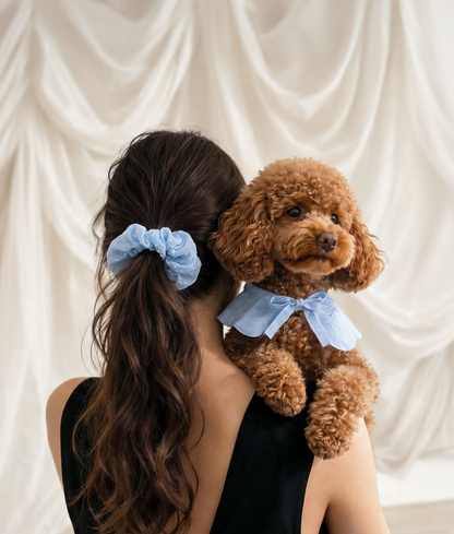 Bandana style collier pour chien motif plumetis bleu, Lola