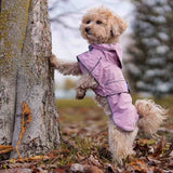 Imperméable pour chien Hiking City