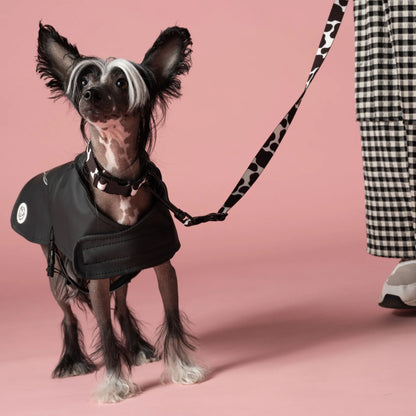 Imperméable pour chien