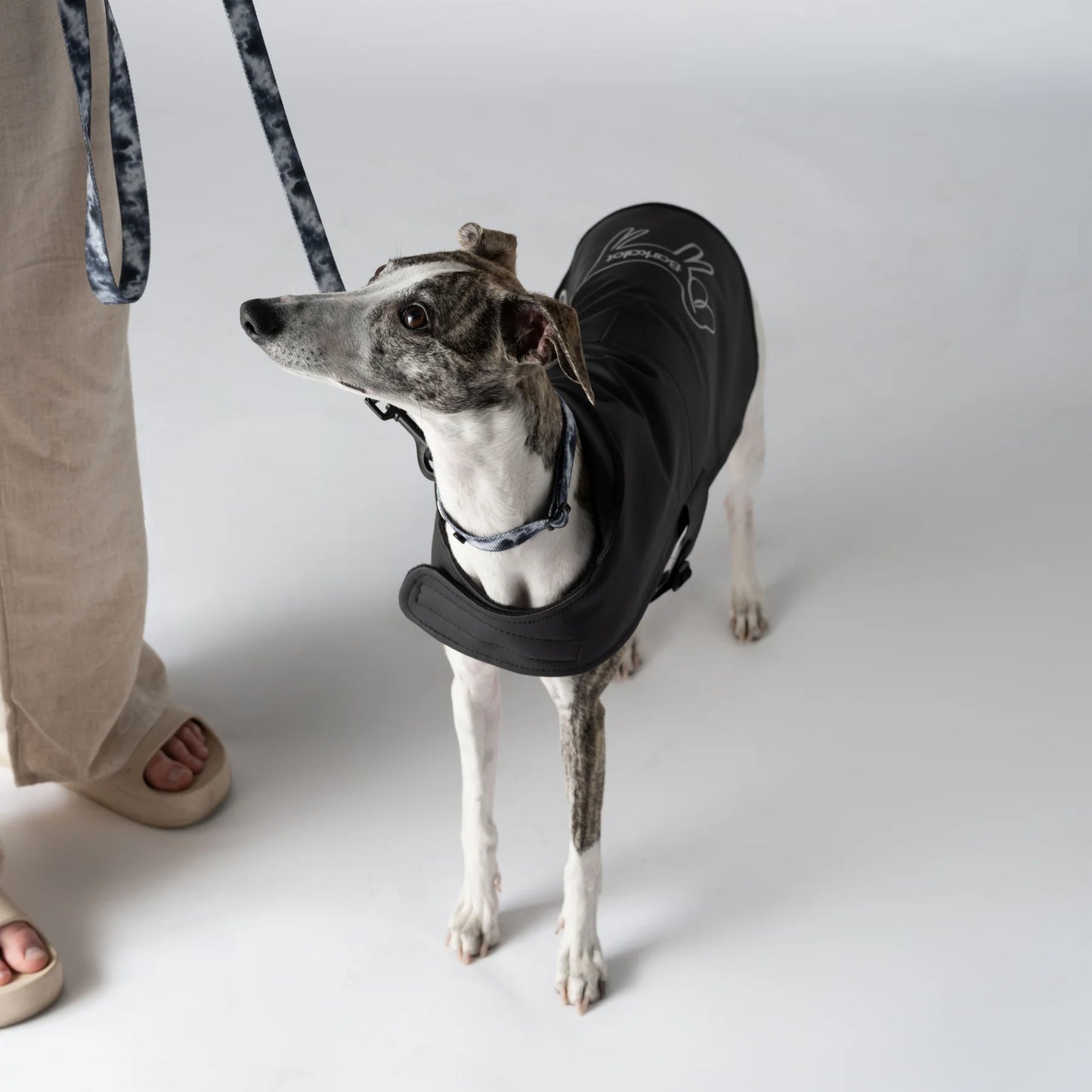 Imperméable pour chien