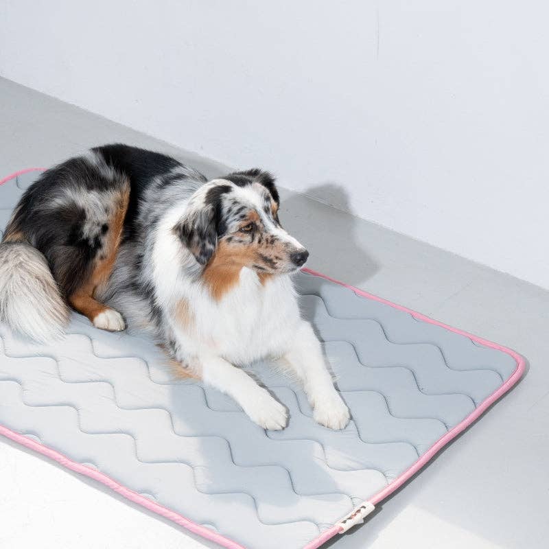 Tapis pour animaux en mousse à mémoire Cool Wave