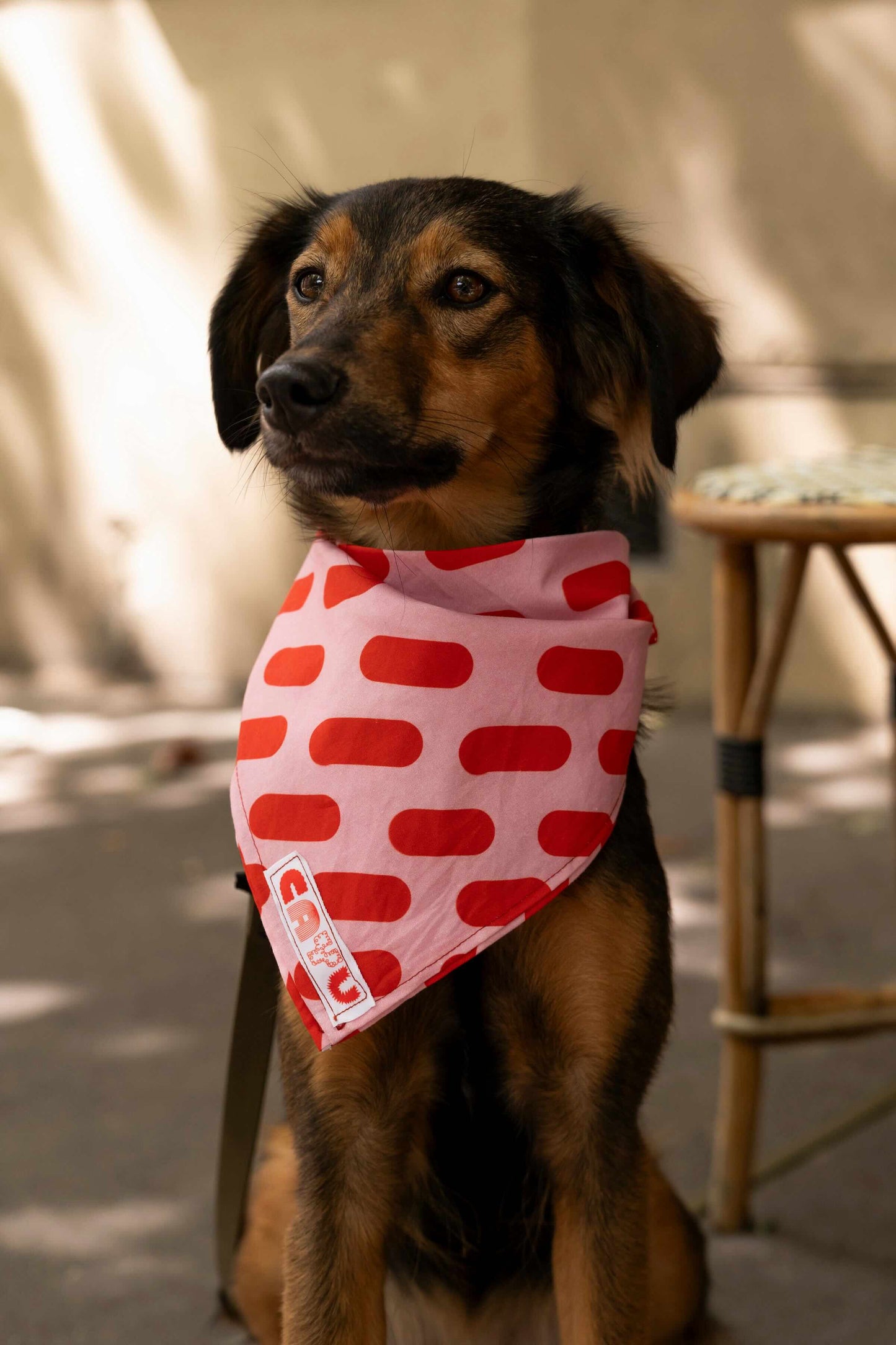 Bandana en coton / pois - Cayu Canidés Club
