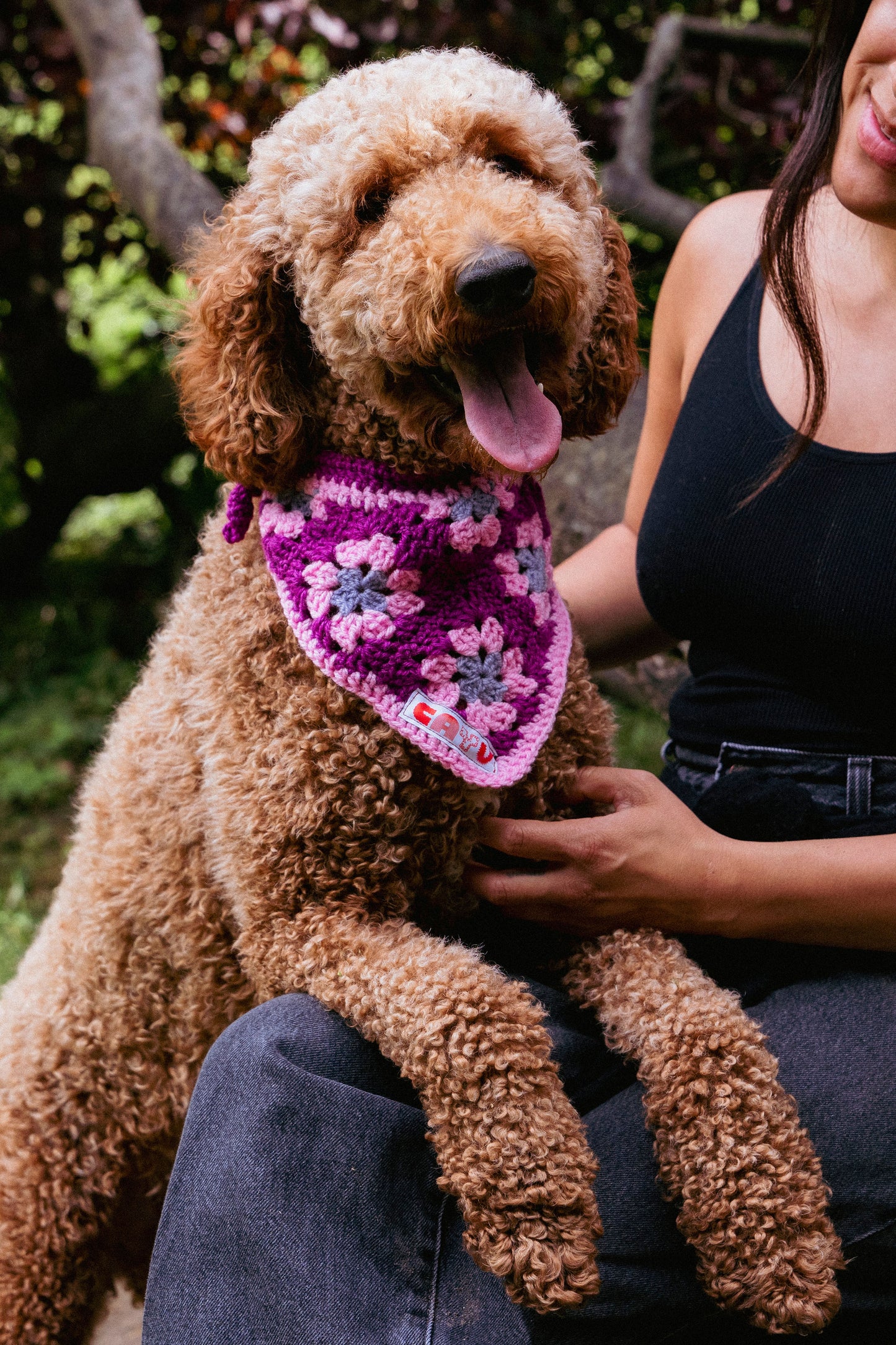 Bandana en crochet - Cayu Canidés Club
