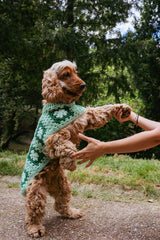 Manteau en crochet