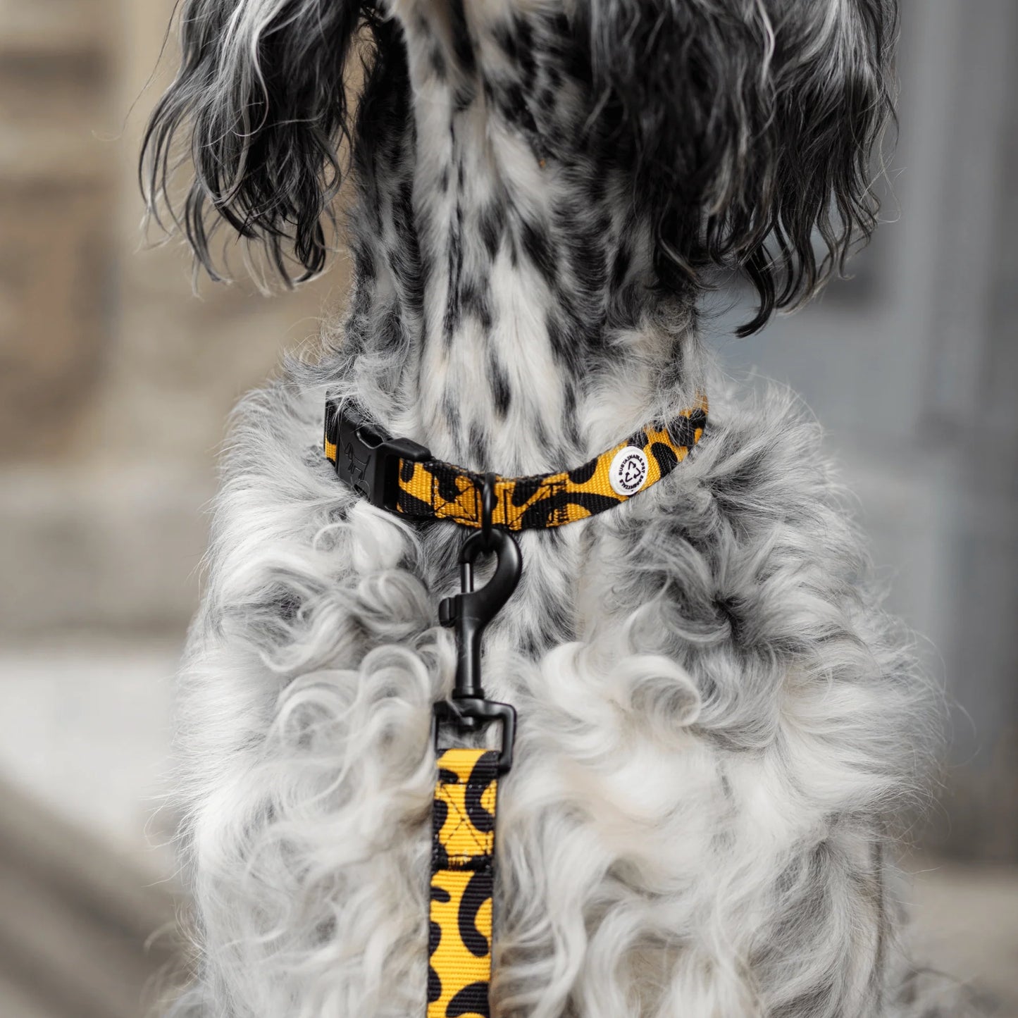 Collier pour chien en tissu