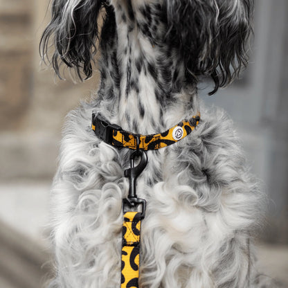 Collier pour chien en tissu
